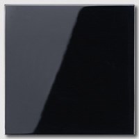 Черный Накладка светорегулятора/выключателя нажимного Jung LS 990 Черный ls1561.07SW - фото 10169