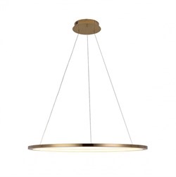 LOFT IT 10014L Светильник подвесной Ring, шт 10014L - фото 102915