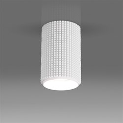 Elektrostandard DLN112 GU10 / Светильник накладной белый a048144 - фото 103645