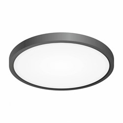 Citilux CL738241V Бейсик Черный Светильник накладной LED 24W*Мульти CL738241V - фото 103811
