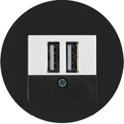usb розетка | зарядка 260209 | 10382045 Berker - фото 46970