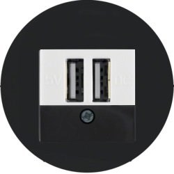 usb розетка | зарядка 260209 | 10382045 Berker - фото 46970