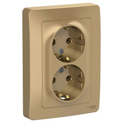 Blanca внутренняя титан розетка 2-ая с заземлением, без шторок, 16А, 250В BLNRS001024 - фото 72372