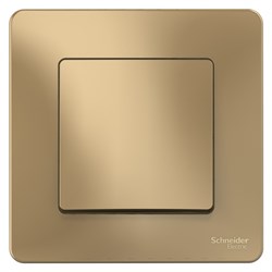 Blanca внутренняя титан переключатель 1-клавишный, 10А, 250B BLNVS010604 - фото 72379