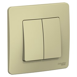Blanca внутренняя бежевый переключатель 2-клавишный (cх.6+6), 10А, 250B BLNVS106607 - фото 72411