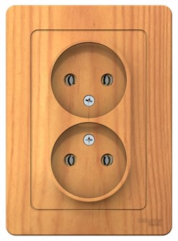 Blanca внутренняя ясень розетка 2-ая без заземления без шторок, 16А, 250В BLNRS000025 - фото 72491