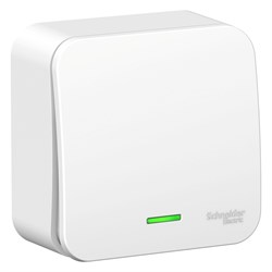 Blanca наружняя белый переключатель 1-клавишный с подсветкой 10А, 250B, изолированная пластина BLNVA106111 - фото 72530