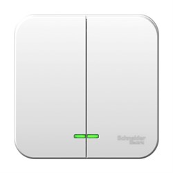 Blanca наружняя белый выключатель 2-клавишный с подсветкой 6А, 250B, монтажная пластина BLNVA065121 - фото 72542