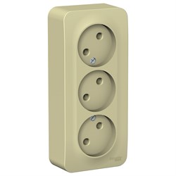 Blanca наружняя бежевый розетка 3-ая без заземления без шторок, изолированная пластина 16А, 250В BLNRA000317 - фото 72657