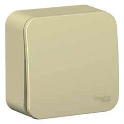 Blanca наружняя бежевый выключатель 1-клавишный (cх.1) изолированная пластина 10А, 250B BLNVA101017 - фото 72669