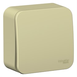 Blanca наружняя бежевый переключатель 1-клавишный (cх.6) изолированная пластина 10А, 250B BLNVA106017 - фото 72673