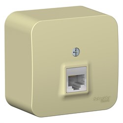 Blanca наружняя бежевый розетка компьютерная RJ45, кат.5E, изолированная пластина BLNIA045007 - фото 72674