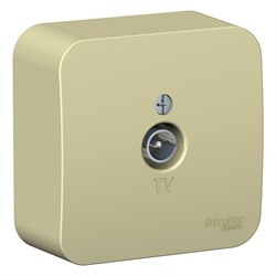 Blanca наружняя бежевый Коннектор TV изолированная пластина BLNTA000017 - фото 72681