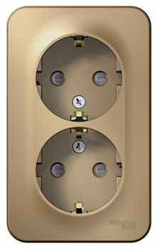 Blanca наружняя титан розетка 2-ая с заземлением, со шторками 16А, 250В, изолированная пластина BLNRA011214 - фото 72682