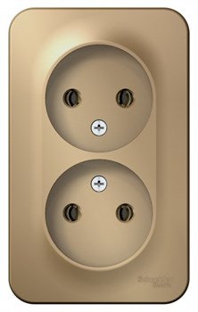 Blanca наружняя титан розетка 2-ая без заземления без шторок 16А, 250В, изолированная пластина BLNRA000214 - фото 72692