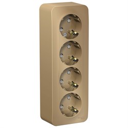 Blanca наружняя титан розетка 4-ая с заземлением, со шторками 16А, 250В, изолированная пластина BLNRA011414 - фото 72695