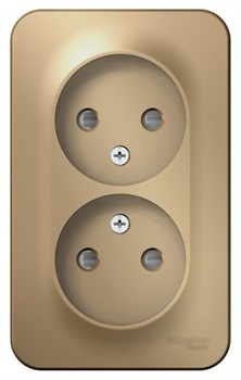 Blanca наружняя титан розетка 2-ая без заземления со шторками 16А, 250В, изолированная пластина BLNRA001214 - фото 72702