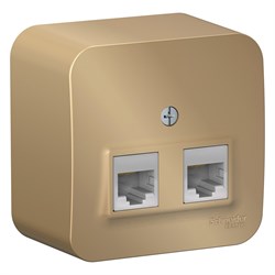 Blanca наружняя титан розетка 2-ая компьютерная RJ45, кат.5E, изол. пластина BLNIA045454 - фото 72703