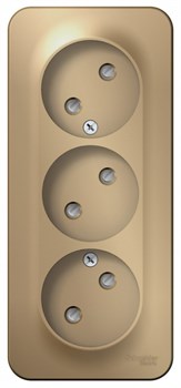 Blanca наружняя титан розетка 3-ая без заземления со шторками 16А, 250В, изолированная пластина BLNRA001314 - фото 72711