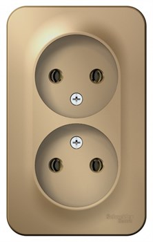 Blanca наружняя титан розетка 2-ая без заземления без шторок, 16А, 250В BLNRA000204 - фото 72713