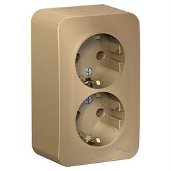 Blanca наружняя титан розетка 2-ая с заземлением, без шторок, 16А, 250В BLNRA010204 - фото 72716