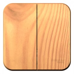 Blanca наружняя ясень выключатель 2-клавишный 10А, 250B, изолированная пластина BLNVA105015 - фото 72757