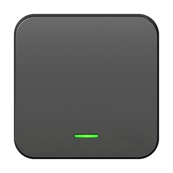 Blanca наружняя антрацит выключатель 1-клавишный с подсветкой , 10А, 250B, изолированная пластина BLNVA101116 - фото 72769