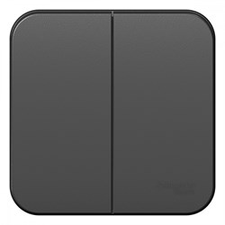 Blanca наружняя антрацит выключатель 2-клавишный, 10А, 250B BLNVA105006 - фото 72770