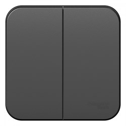 Blanca наружняя антрацит выключатель 2-клавишный 10А, 250B, изолированная пластина BLNVA105016 - фото 72784