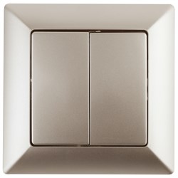 Intro Переключатель Solo 4-107-04 двухклавишный, 10А-250В, IP20, СУ, шампань Б0053612 - фото 76640