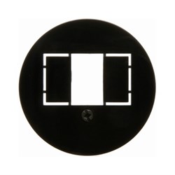 Центральная панель для розетки TAE, Berker 1930/Glasserie/Palazzo цвет: Чёрный, с блеском 104001 - фото 9298