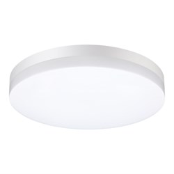 Novotech 358889 STREET NT22 белый Светильник ландшафтный светодиодный IP54 LED 4000К 40W 220V OPAL 358889 - фото 93377