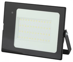 ЭРА LPR-041-1-65K-050 Прожектор светодиодный уличный 50Вт 3500Лм 6500К датчик нерегулир Б0043576 - фото 93856