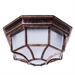 Arte Lamp A3100PL-1AC Pegasus Уличный потолочный светильник A3100PL-1AC - фото 94486