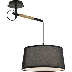 F-promo Eureka 3006-1P, настенно-потолочный светильник, D300xH600, 1xE27x60W 3006-1P - фото 94554