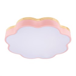 LOFT IT 10225/36 Pink Потолочный светильник Axel 10225/36 Pink - фото 94875