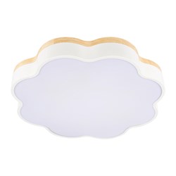 LOFT IT 10225/36 White Потолочный светильник Axel 10225/36 White - фото 94887