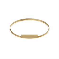 Maytoni Потолочный светильник MOD058CL-L50BSK MOD058CL-L50BSK - фото 95141