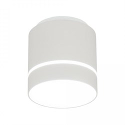Citilux CL745020N Борн Белый Светильник потолочный 12W*4000K CL745020N - фото 95528