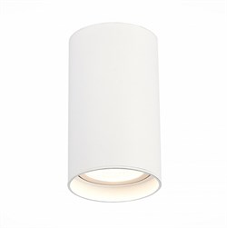ST LUCE ST157.532.20 Светильник потолочный Белый LED 1*20W 3000K 1 600Lm Ra>90 60° IP44 D95xH150 220-265V ST157.532.20 - фото 96587