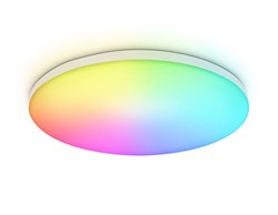 Ambrella Потолочный светодиодный светильник с Wi-Fi Яндекс Алисой/Tuya/Smart Home/Alexa FZ2001 WH белый IP54 20W 3000K-6500K+RGB D300*55 (ПДУ ИК) FZ2001 - фото 96666