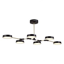 Evoluce SLE6004-402-06 светильник потолочный чёрный / чёрный LED 6*10W SLE6004-402-06 - фото 96749