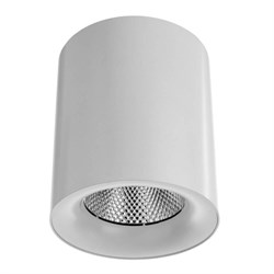 Arte Lamp Facile Белый Светильник потолочный 1x30W 1xLED 1x2400lm A5130PL-1WH - фото 96768