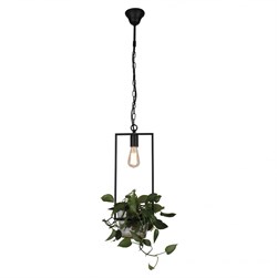 Favourite Situla Люстра подвесная черный металл, прозрачное стекло 1*E27*60W 1975-1P - фото 97004