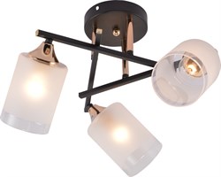 Rivoli Люстра Fiona 3163-303 3 х Е27 60 Вт модерн Б0059259 - фото 99155