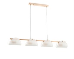Люстра Rivoli Mariana 3178-201 подвесная 4 х Е14 60 Вт модерн Б0066489 - фото 99971