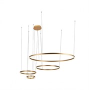 LOFT IT 10017/4L Светильник подвесной Ring, шт 10017/4L