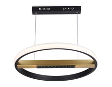 Ambrella Подвесной светодиодный светильник с пультом управления FL51489 BK/GD черный/золото 62W 3000K-6400K D600*1000 (ПДУ ИК) FL51489