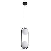 Divinare main A7745SP-2BK СВЕТИЛЬНИК ПОДВЕСНОЙ A7745SP-2BK