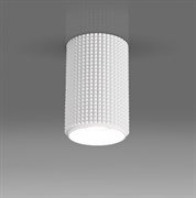 Elektrostandard DLN112 GU10 / Светильник накладной белый a048144